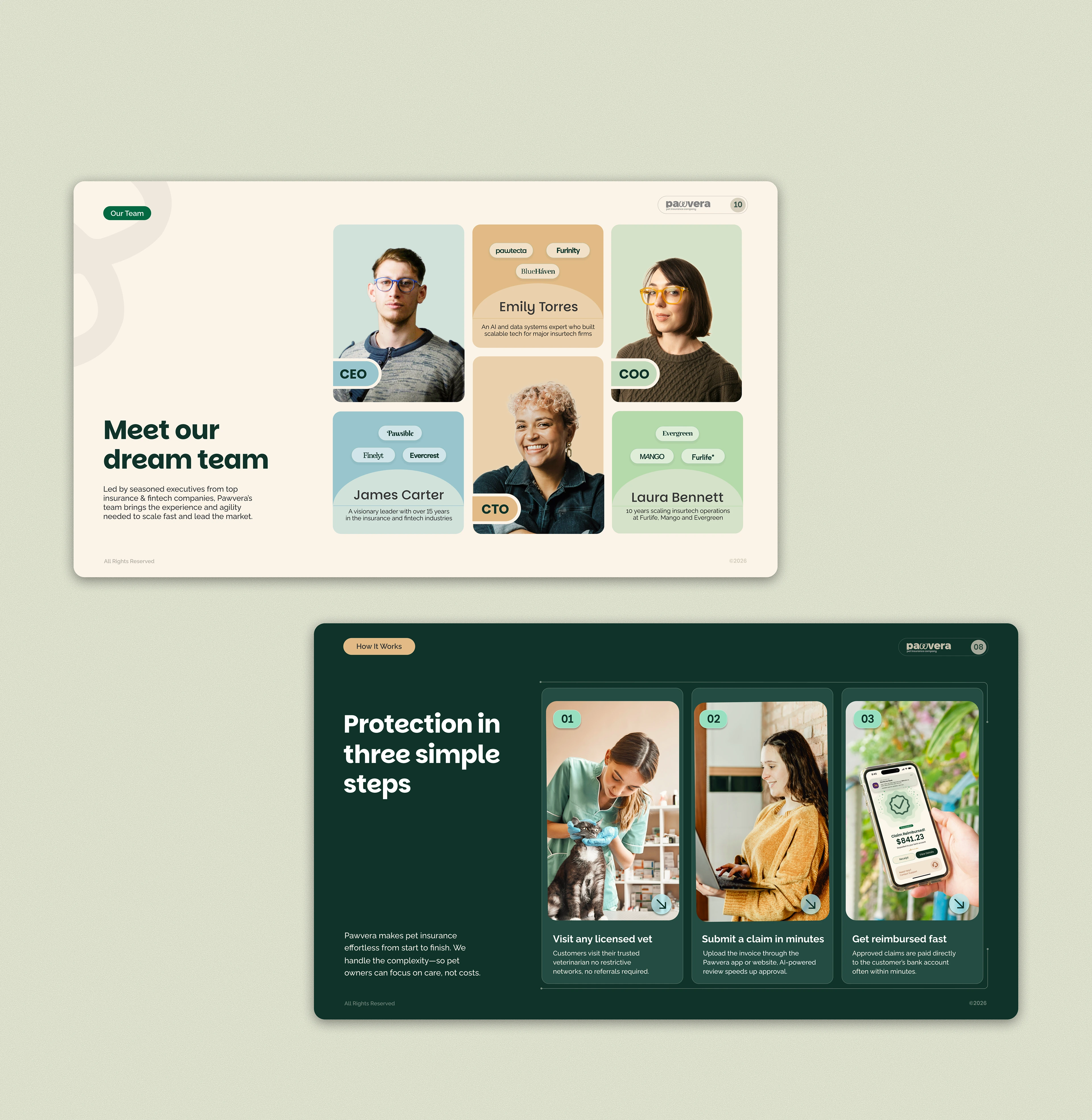 Pawvera — Pitch Deck Design — view 6