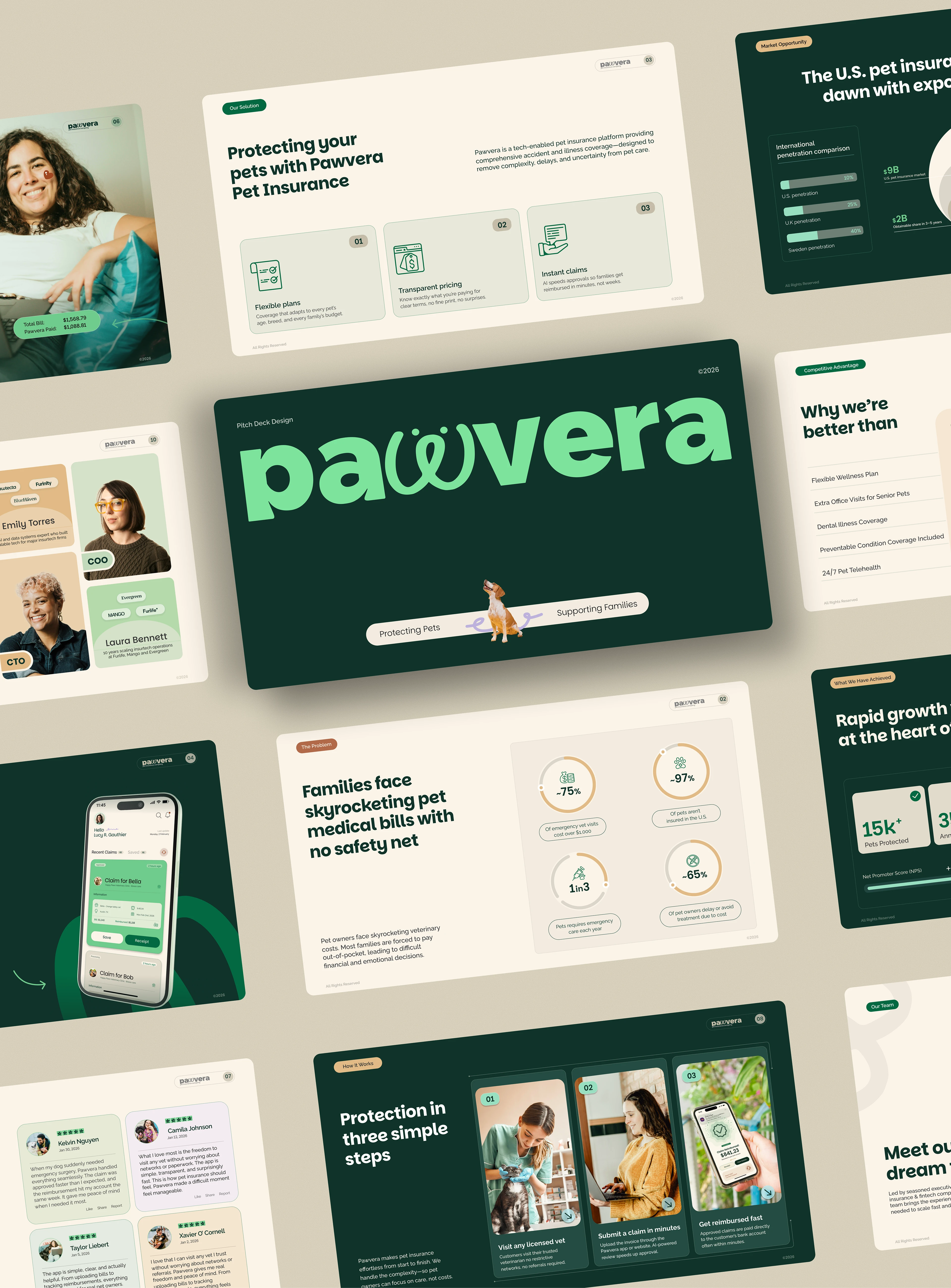Pawvera — Pitch Deck Design — view 9